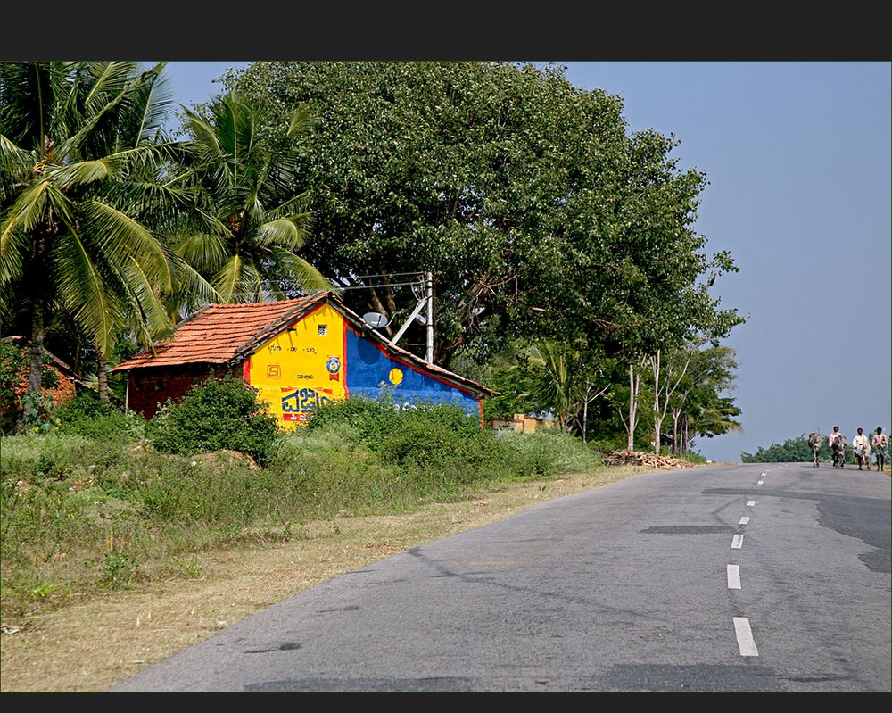 auf Indiens Straßen (5)