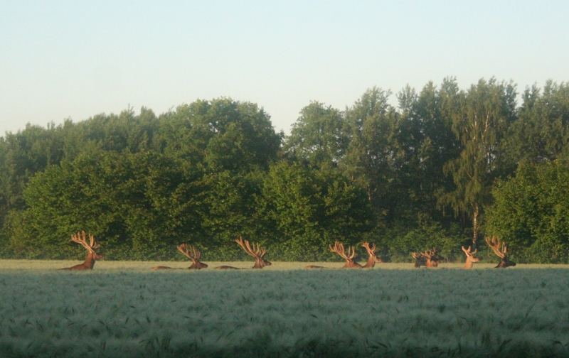 Auf ins Feld