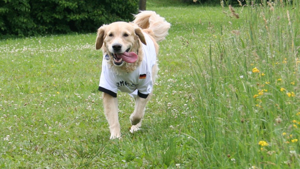 ...auf ins viertelfinale....