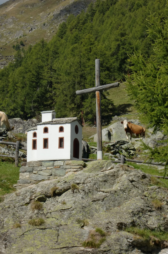 auf Jungen -- Schweiz