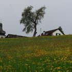 auf kleinen Nebenstrassen unterwegs