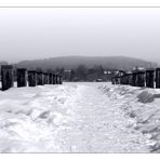 Auf Knien den Winter anbetend