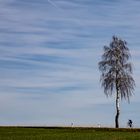 Auf Kollisionskurs. - Allein auf der Landstraße