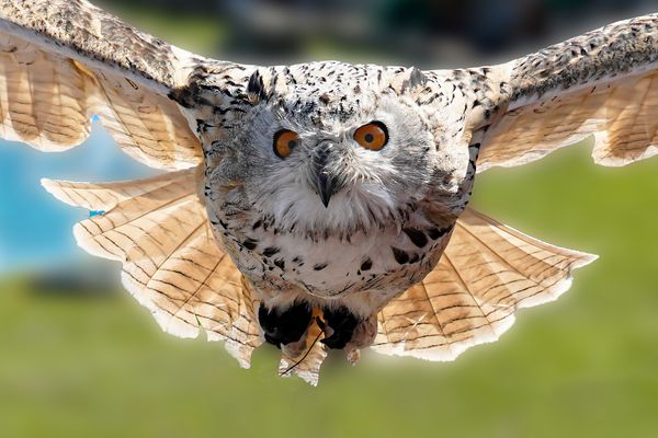 ....auf Kollisionskurs!