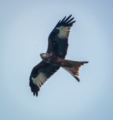 Auf Kontrollflug