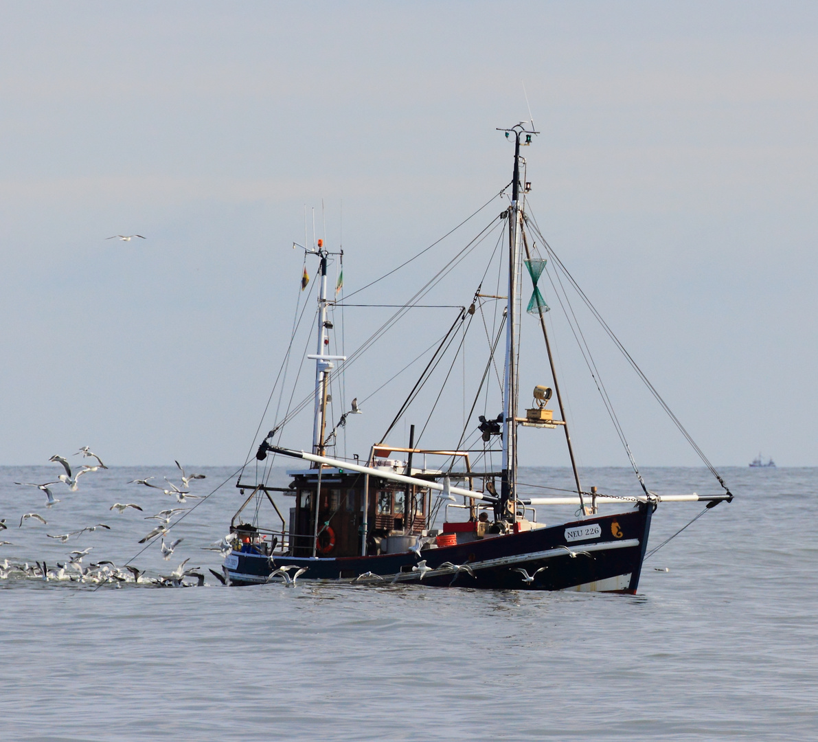 Auf Krabbenfang in der Nordsee