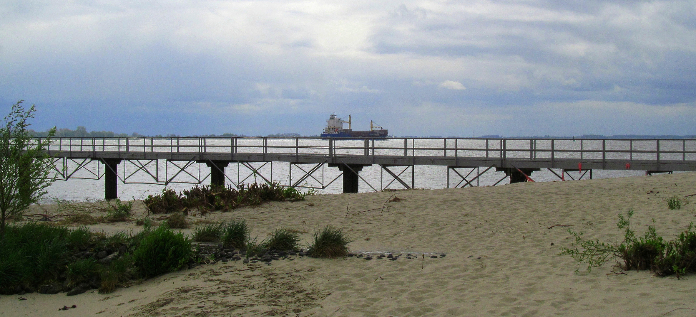 auf Krautsand an der Elbe ...