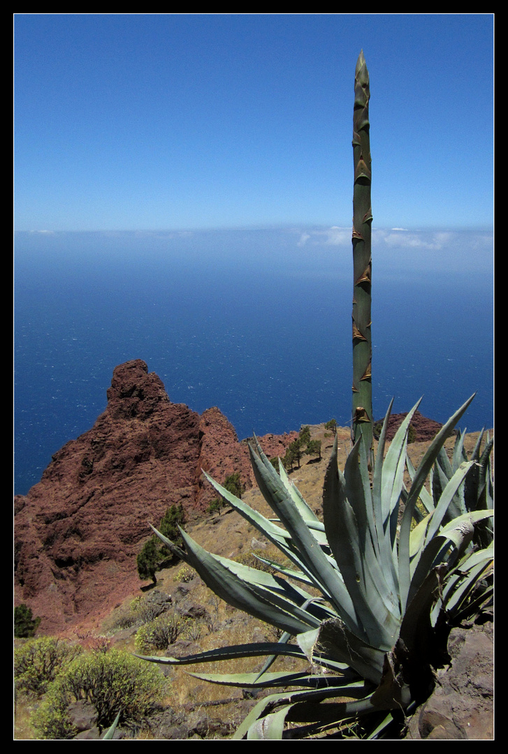 Auf La Gomera - 2014 - 7