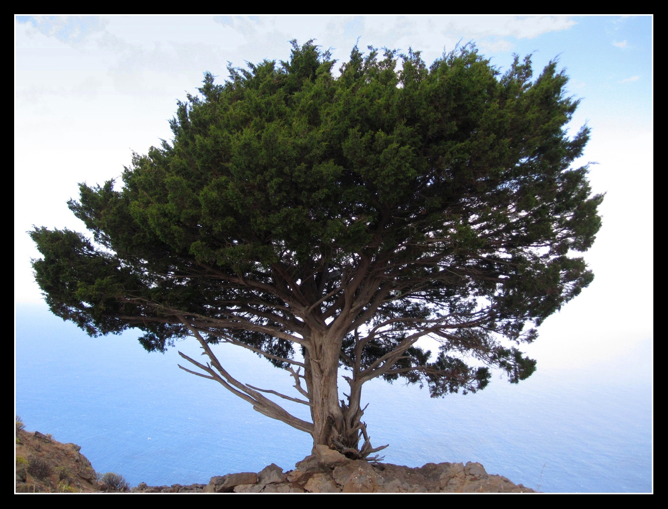 Auf La Gomera