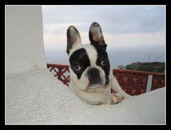 Auf La Gomera in Agulo *