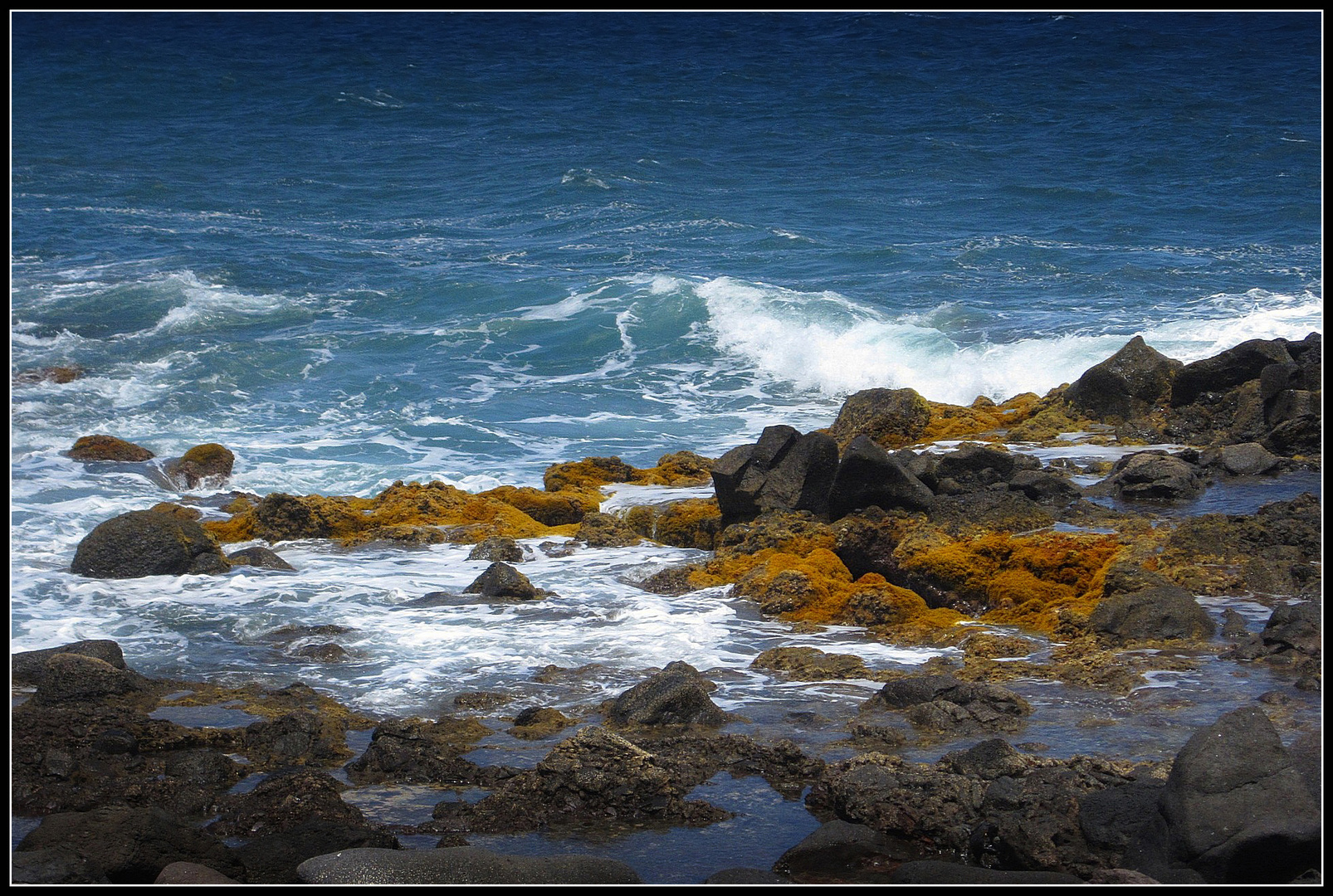 Auf La Gomera - Valle Gran Rey - 2014 - 4