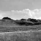 Auf Langeoog