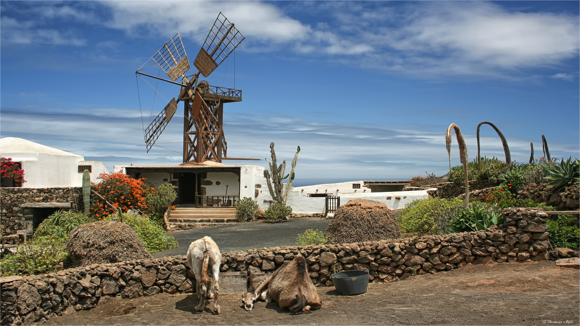 Auf Lanzarote