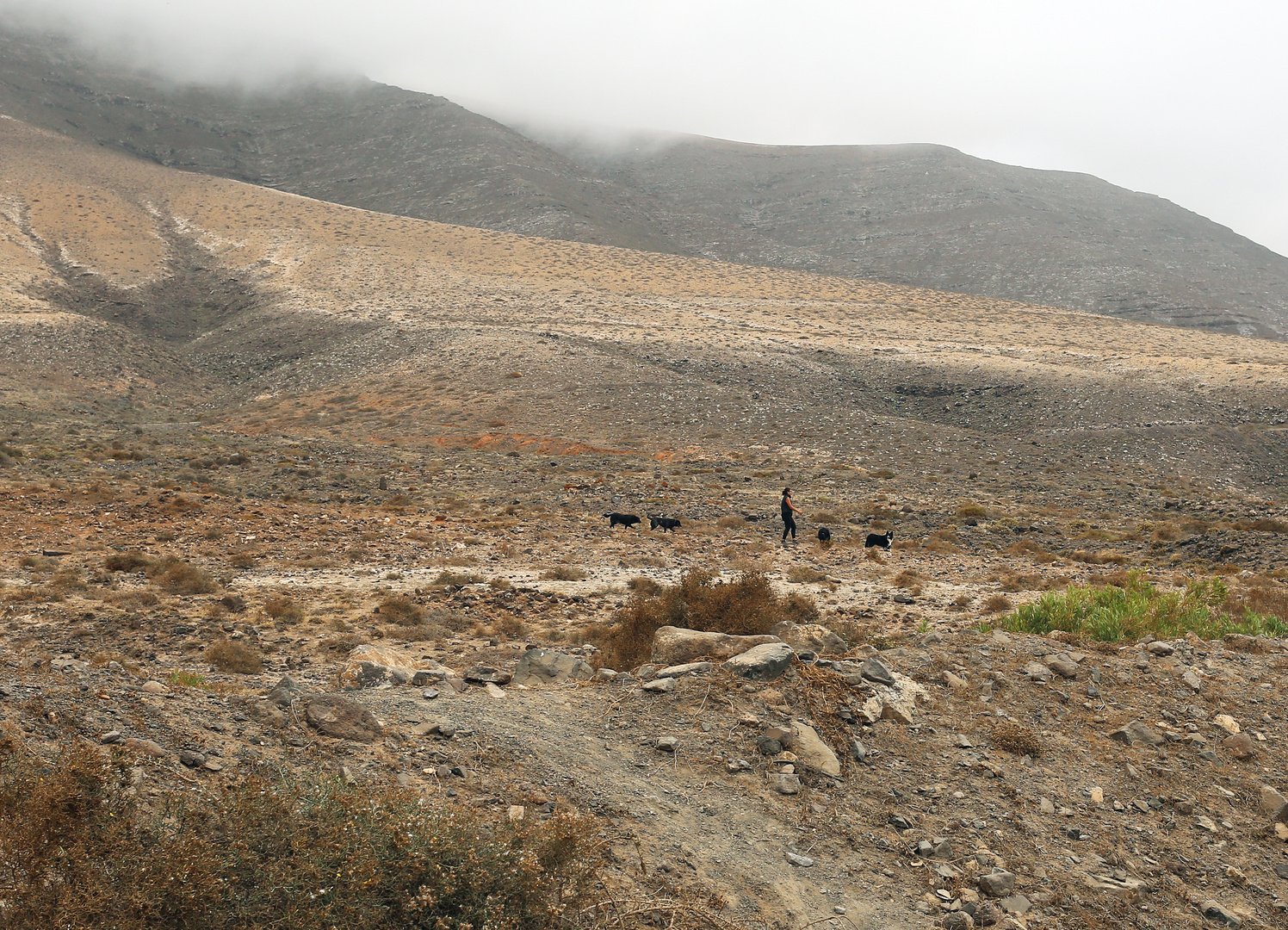 Auf Lanzarote (XI)