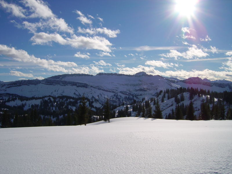 Auf leichten Füßen durch den Schnee