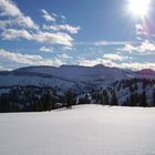 Auf leichten Füßen durch den Schnee