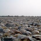 Auf Lido am Strand (Lido/Venedig)