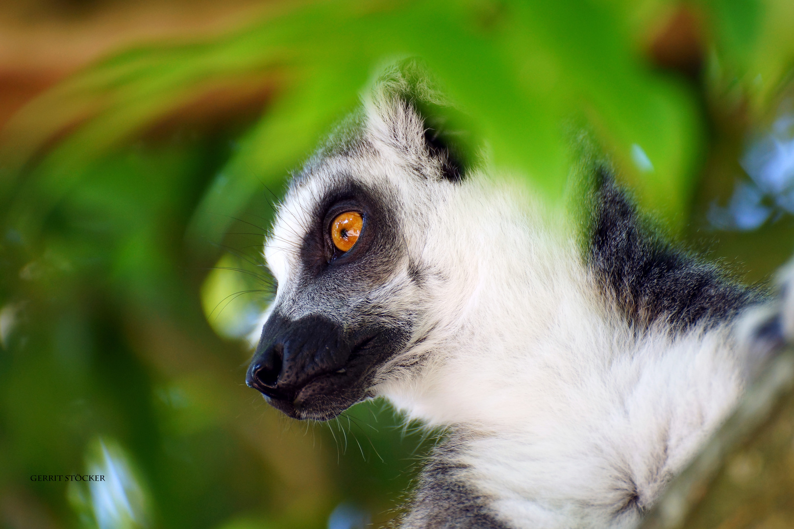 Auf Madagaskar...