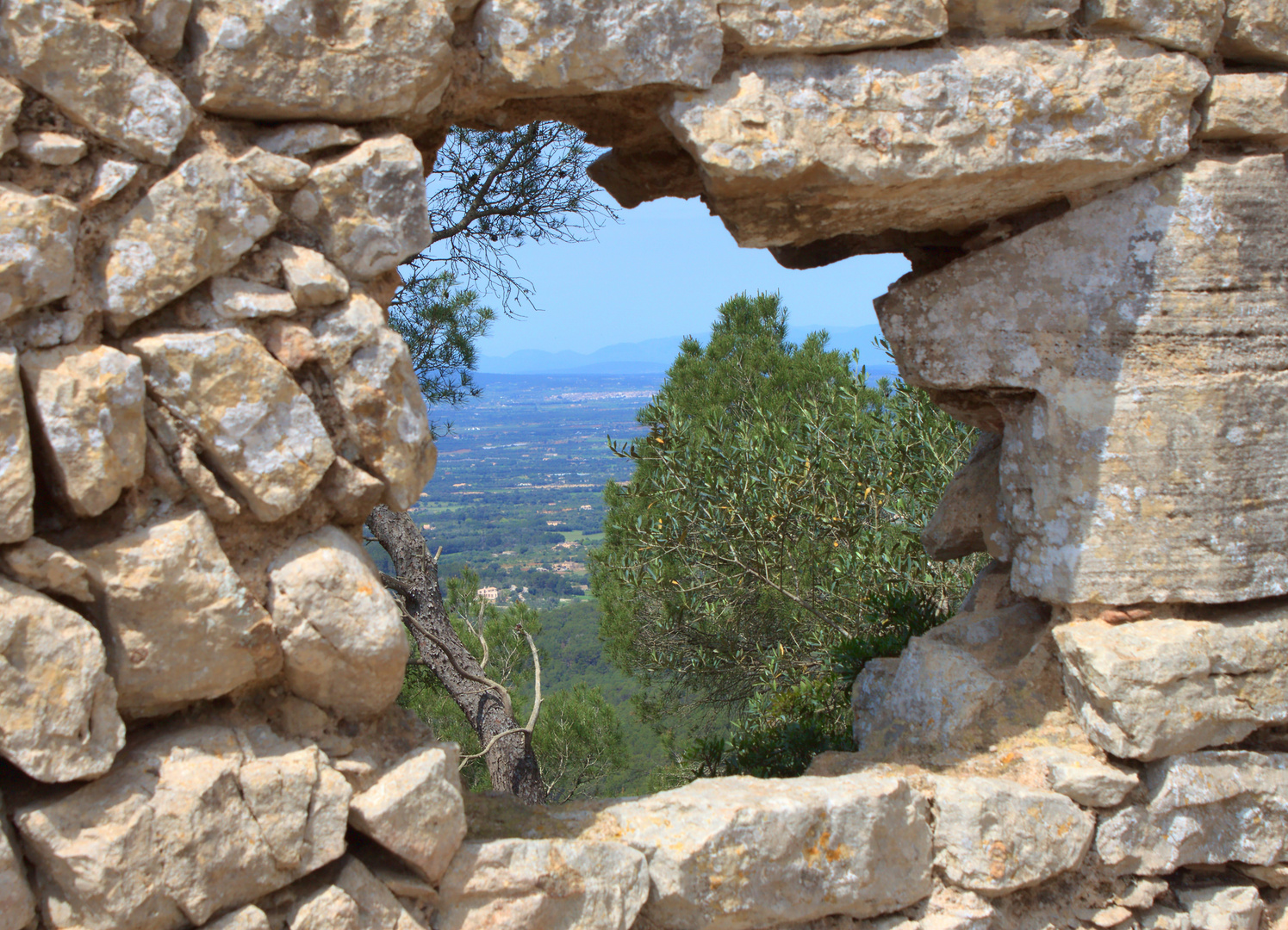 auf Mallorca den Durchblick behalten