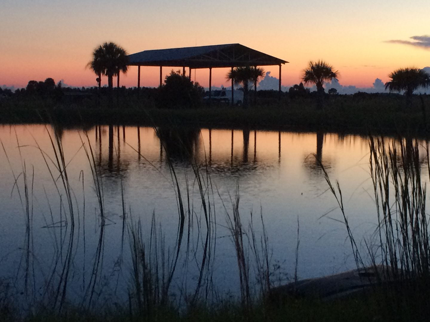 auf meiner Ranch in Florida