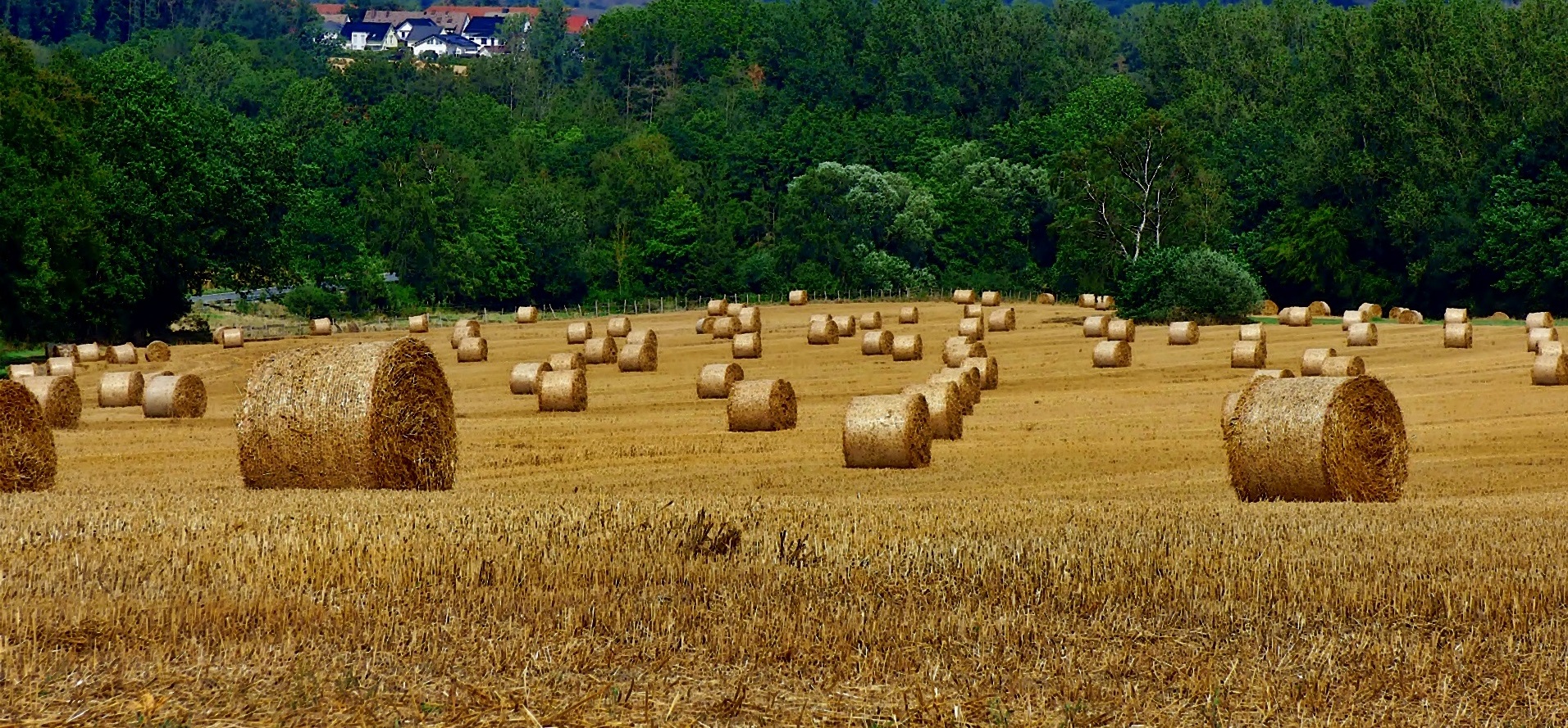 Auf meiner Sauerlandtour . . .