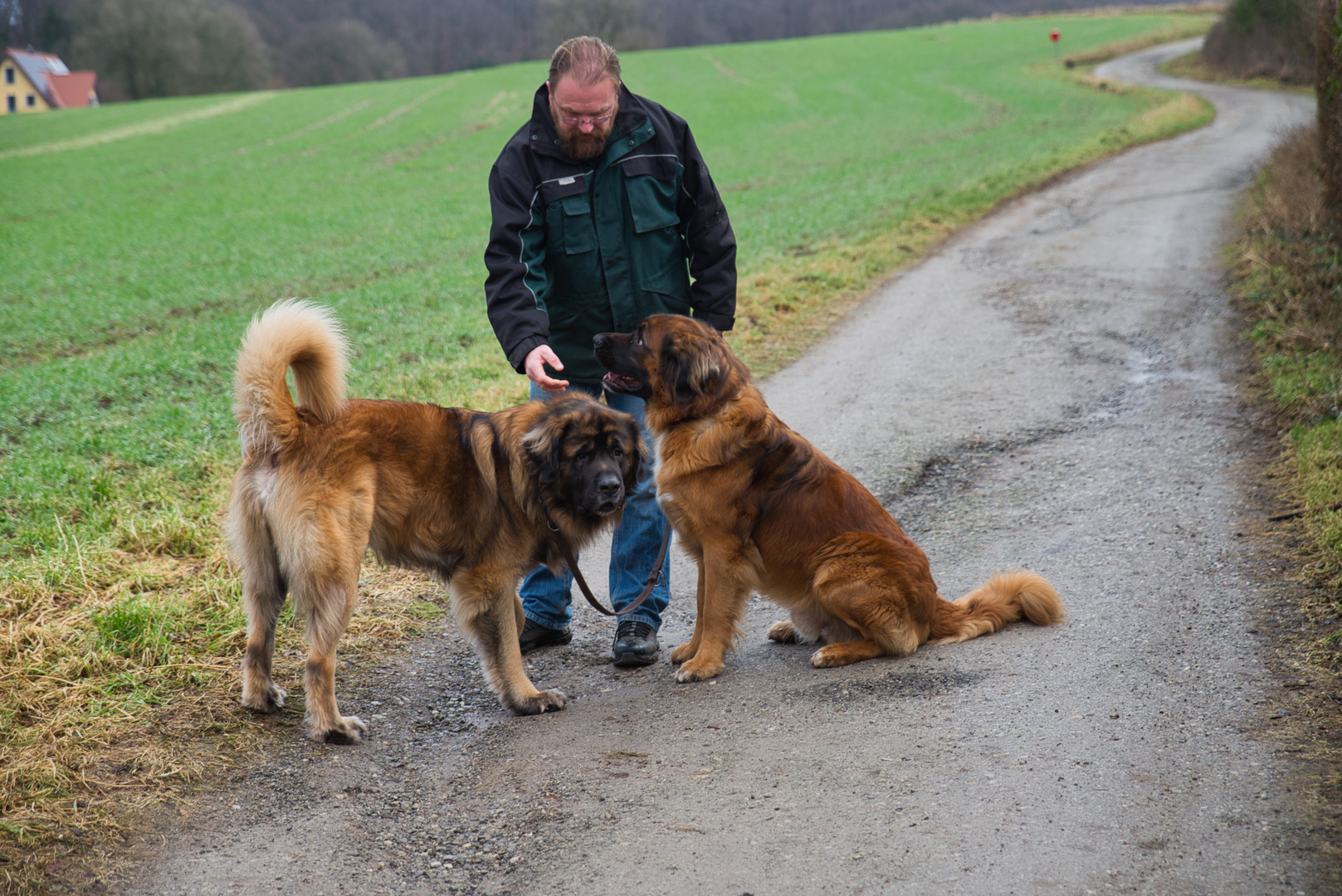 Auf meiner Wanderstrecke getroffen und mit Erlaubnis fotografiert. 