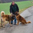 Auf meiner Wanderstrecke getroffen und mit Erlaubnis fotografiert. 