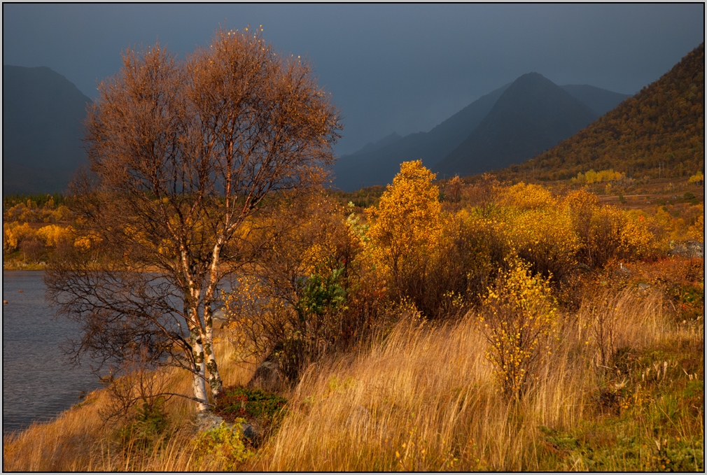 " Auf nach Andenes "