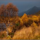 " Auf nach Andenes "