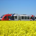 auf nach Büsum gehts.....