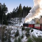 Auf nach Drei-Annen-Hohne