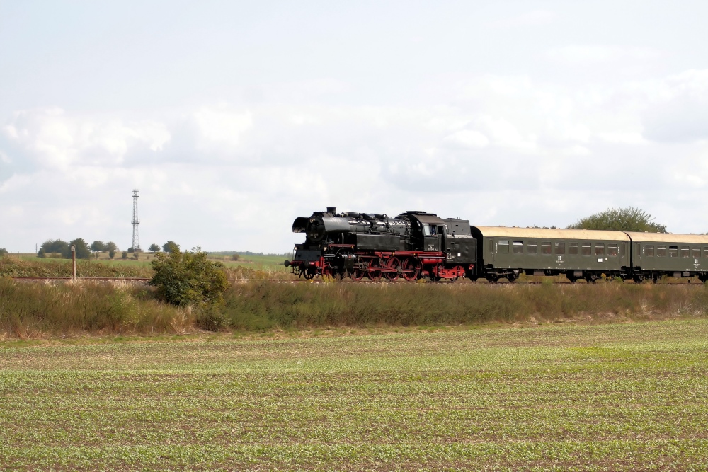 Auf nach Freyburg! (2)