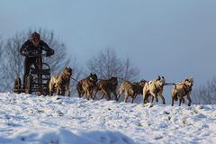 auf, nach Hause