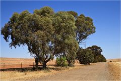 Auf nach Kangaroo Island