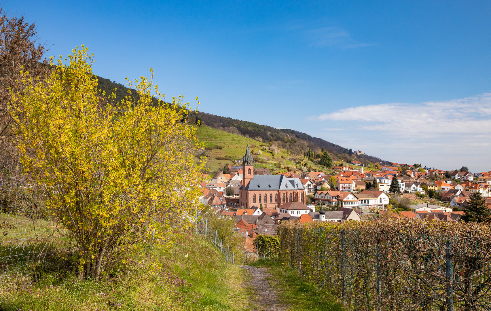 Auf nach Sankt Martin