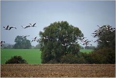 auf nach süden