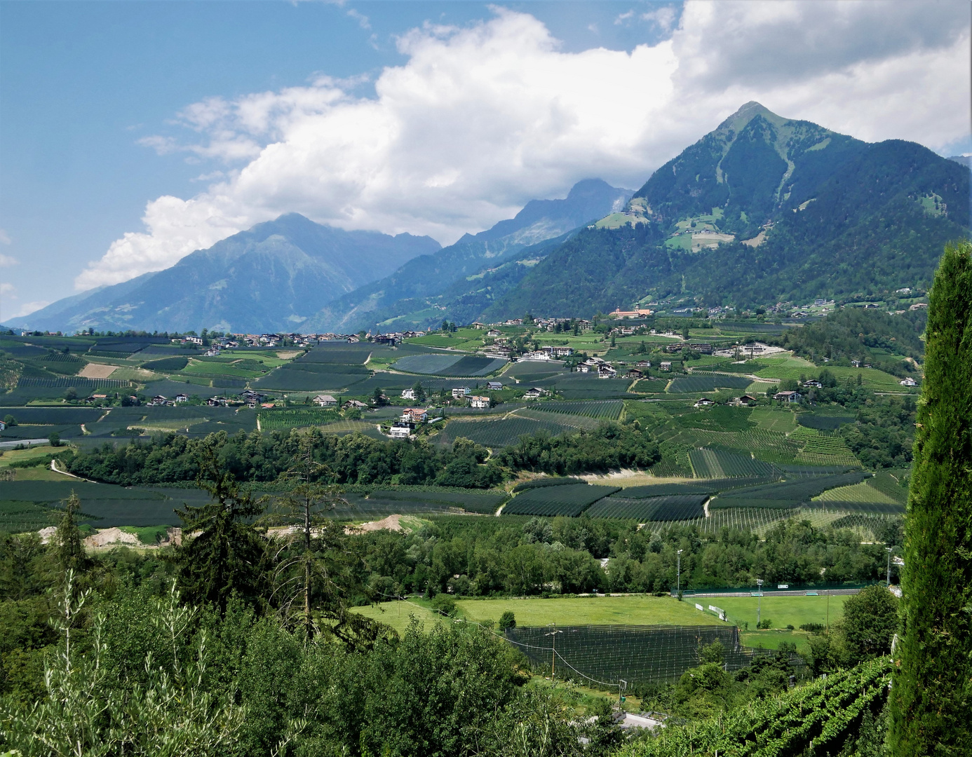 Auf nach Südtirol 2023  - Blick vom Innerleiterhof in Schenna auf Dorf Tirol und Texelgruppe