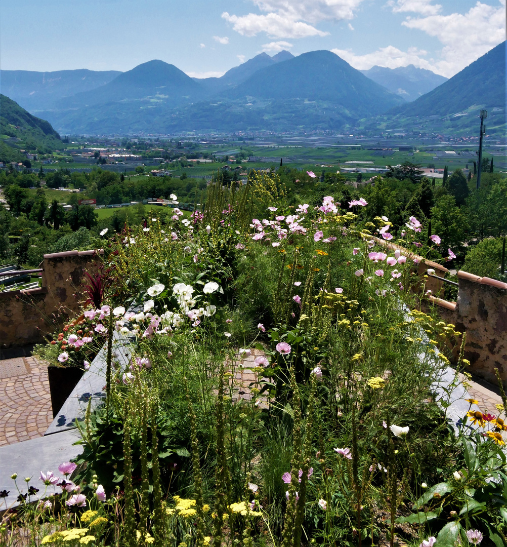 Auf nach Südtirol 2023  - Blick von Schloss Trauttmansdorff über den Meraner Talkessel 