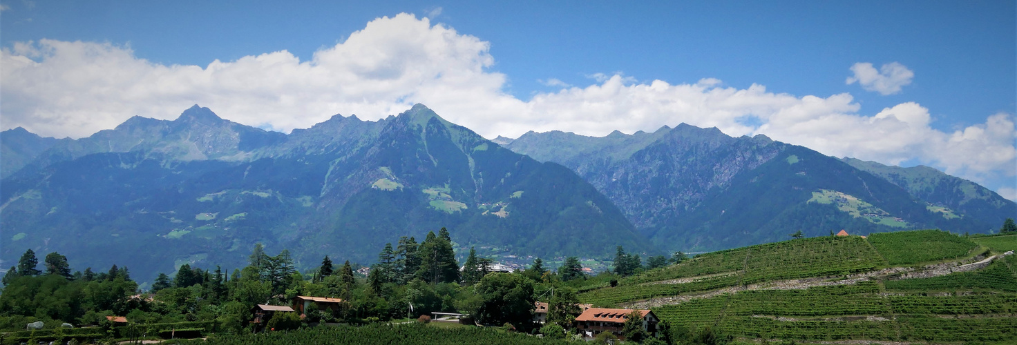 Auf nach Südtirol 2023 - Panorama der Texelgruppe