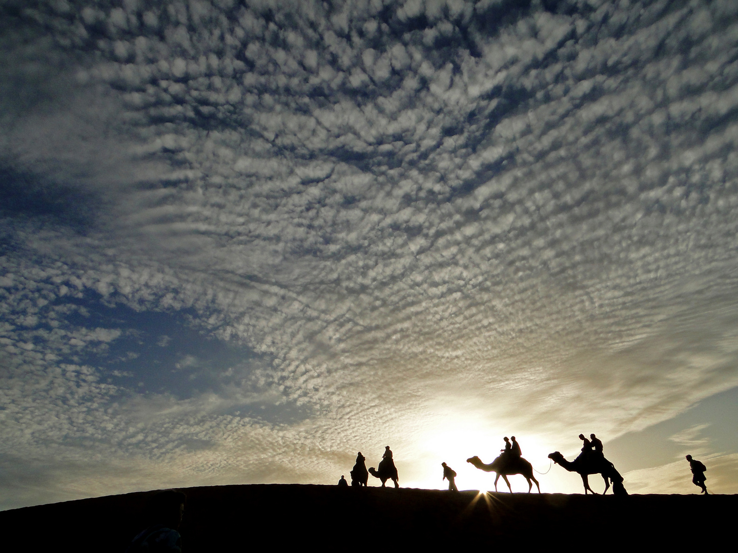 Auf nach Timbuktu?