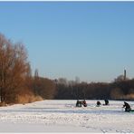 Auf Nahrungssuche (Winterimpressionen 8)