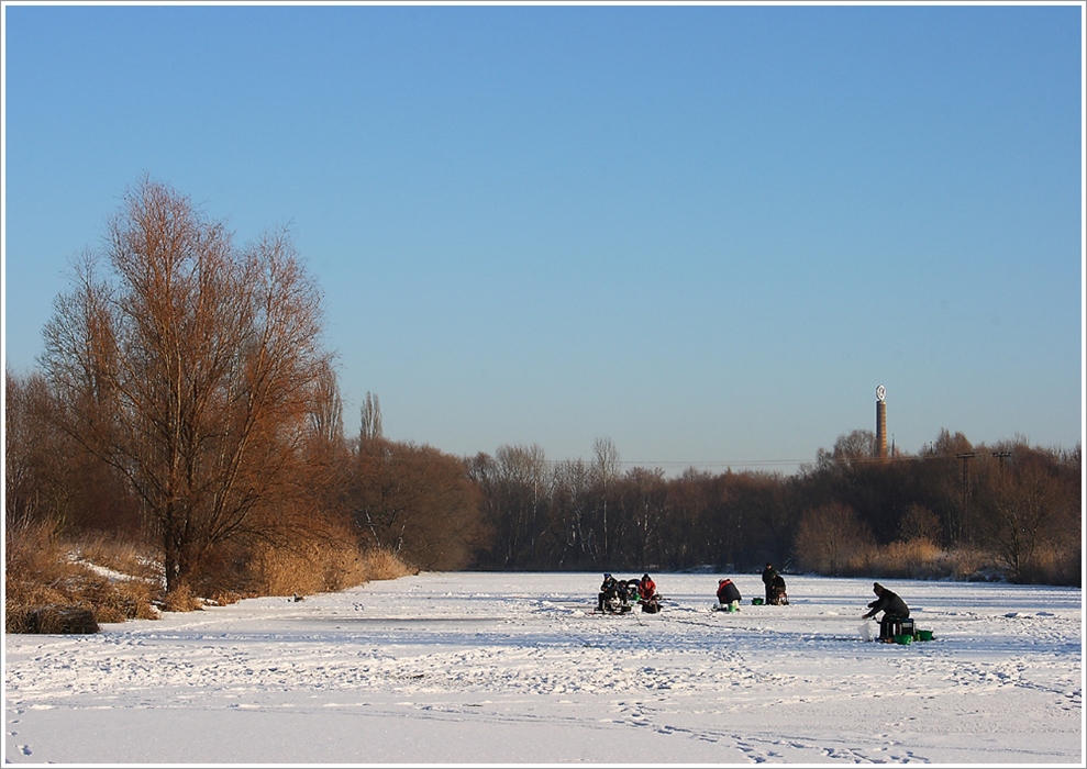 Auf Nahrungssuche (Winterimpressionen 8)