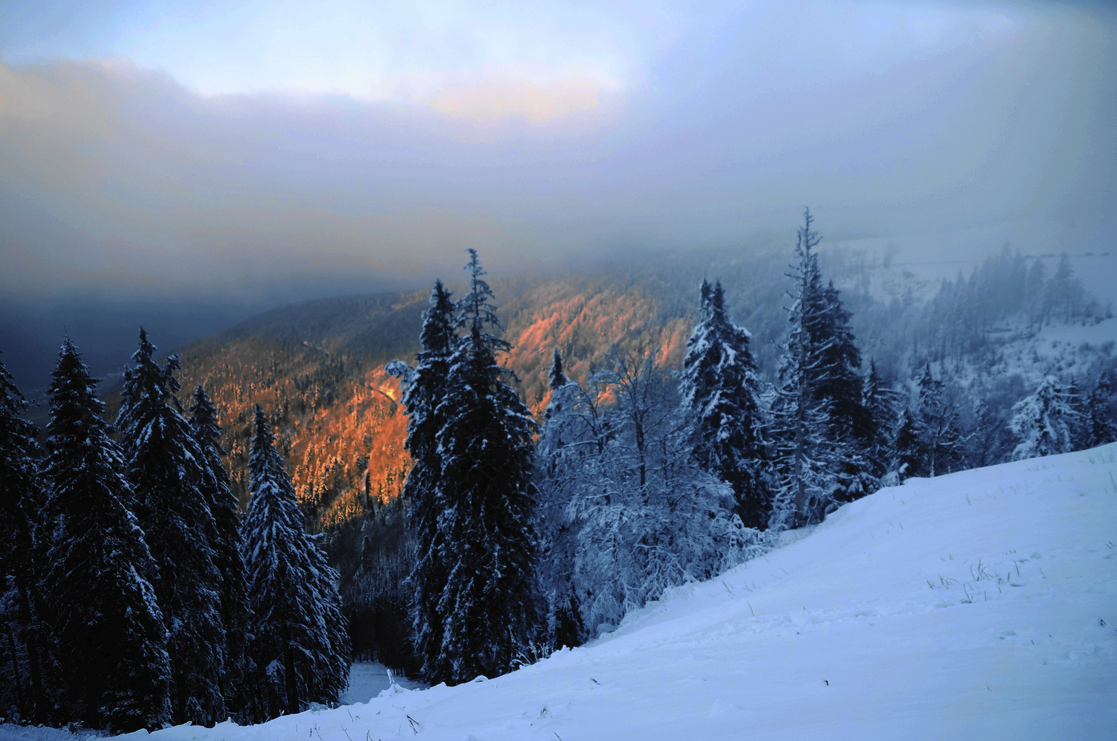 Auf Nebel folgt Sonnenschein