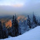 Auf Nebel folgt Sonnenschein