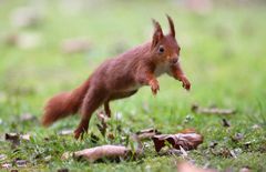 " auf nen Sprung vorbeischauen " :O)