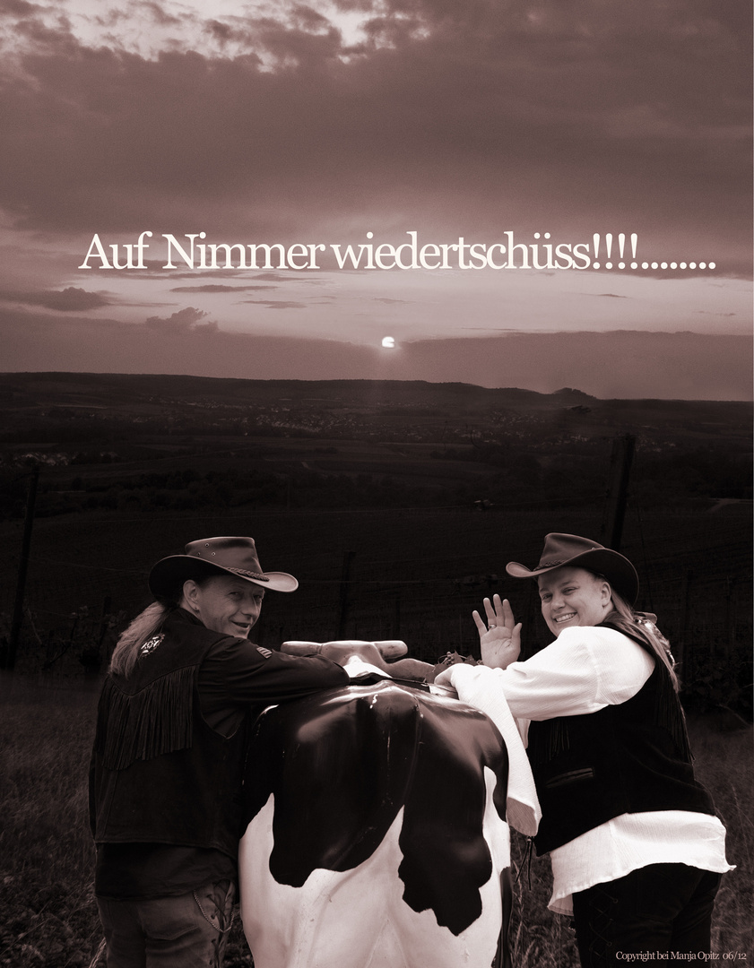 Auf Nimmerwiedertschüss