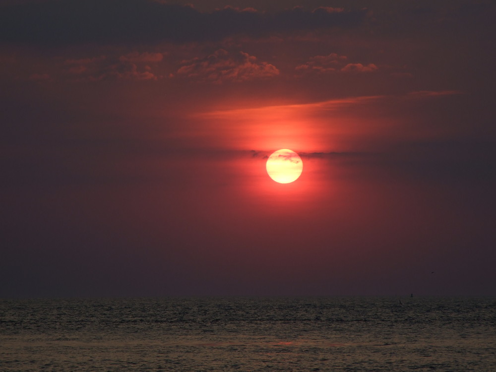 auf norderney