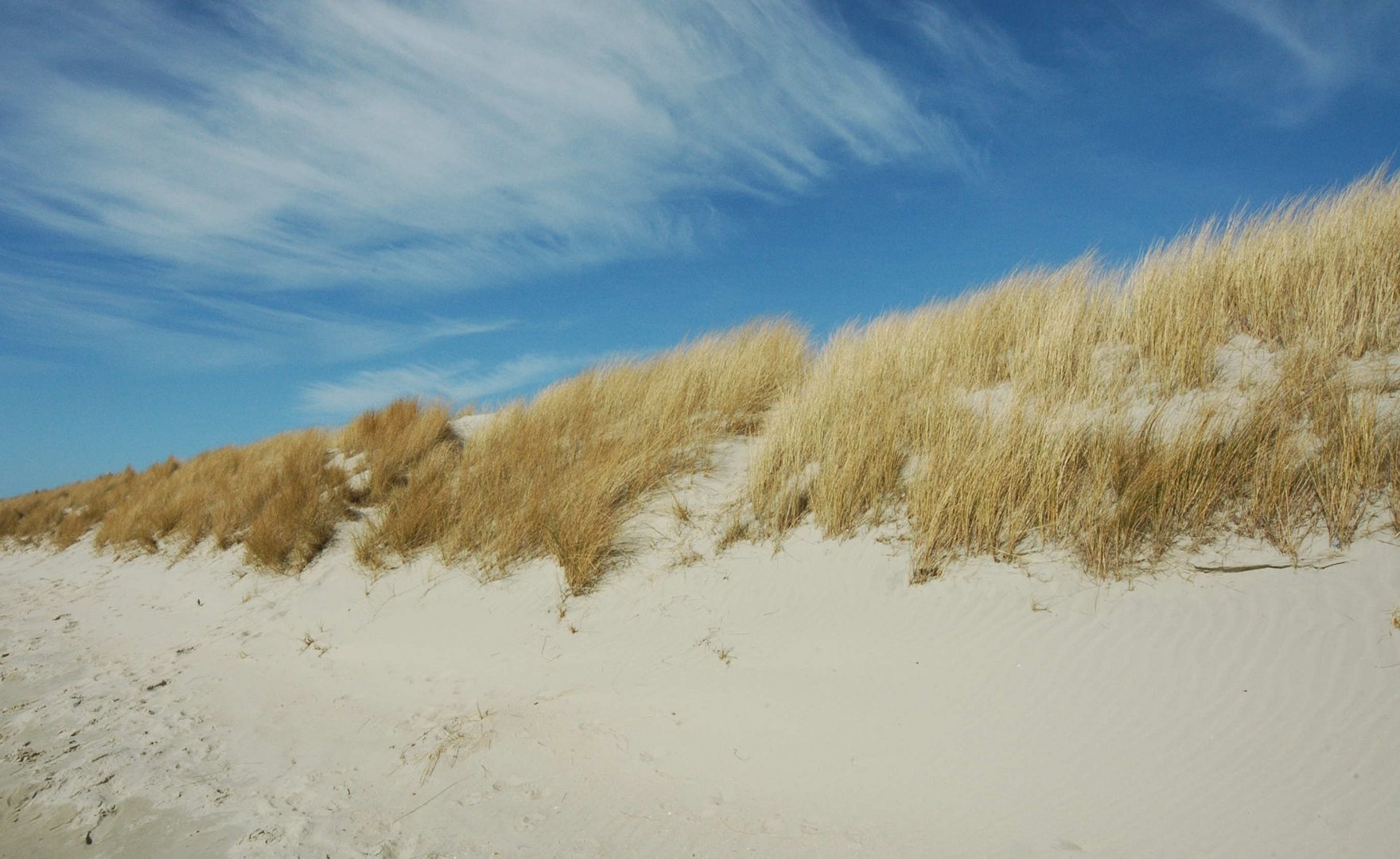 ...auf Norderney