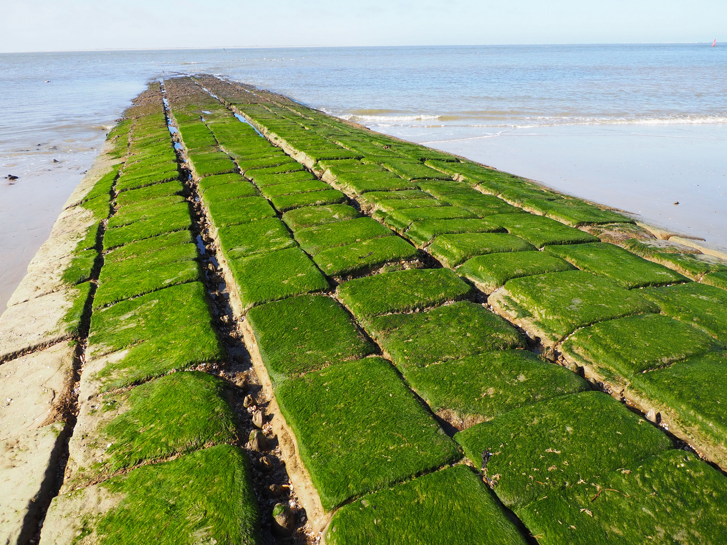 Auf Norderney