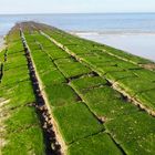 Auf Norderney